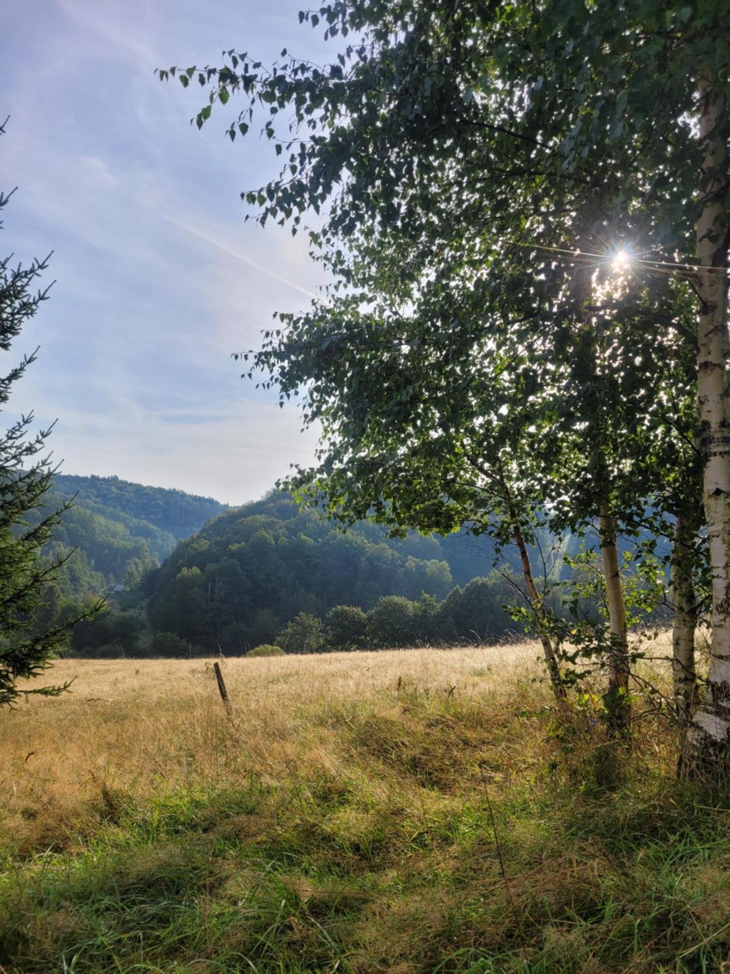 Forest Camp Dom W Gorach Sowich